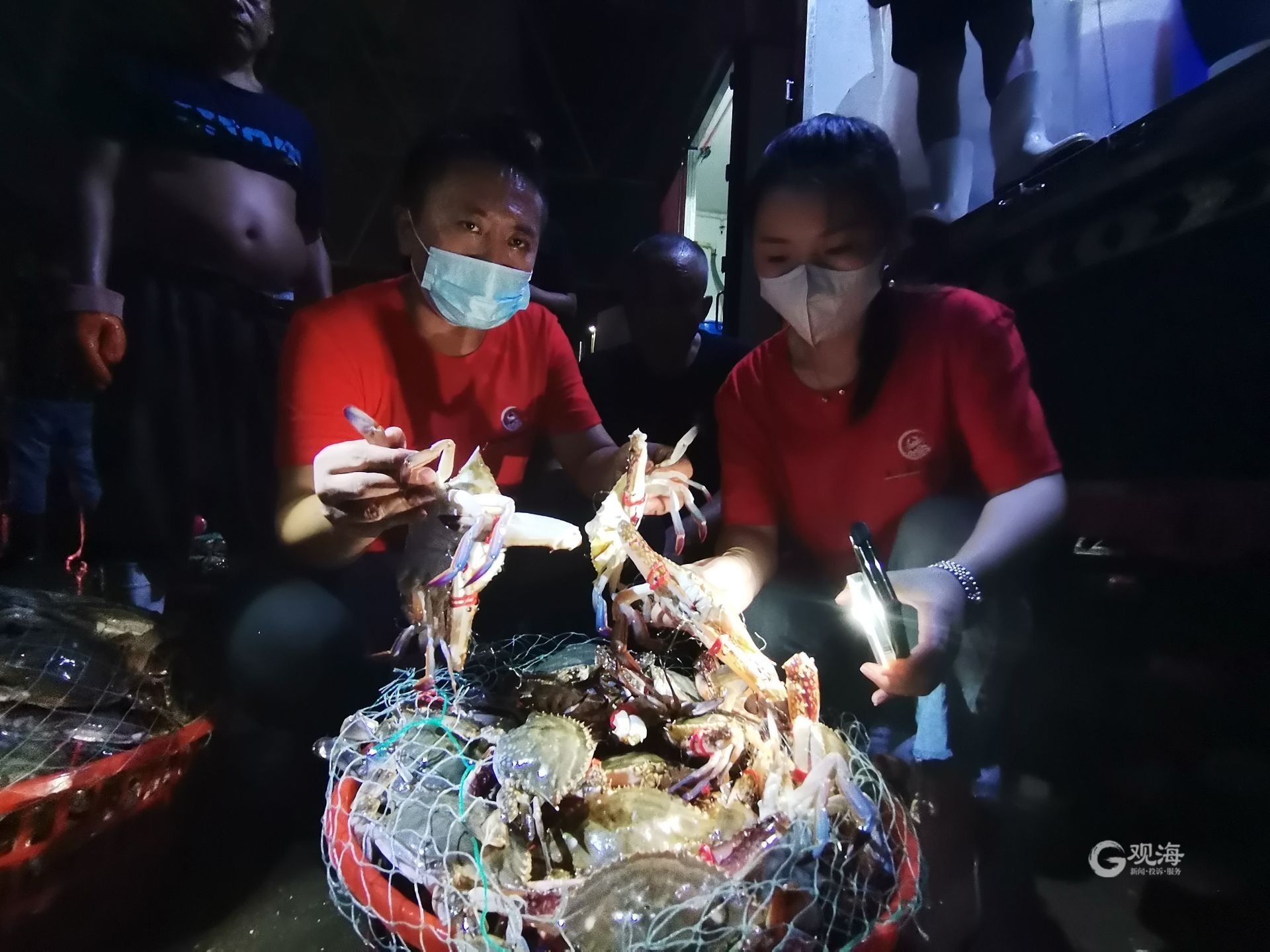青岛30万斤南方梭子蟹6小时卖光,青岛大量梭子蟹是从哪里进来的