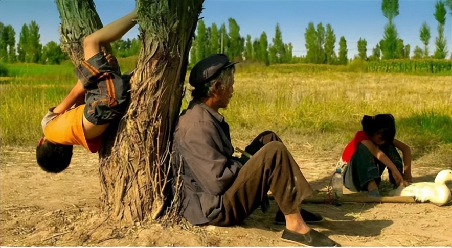 李睿珺电影创作概述,李睿珺对生命的意义