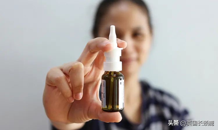 英格兰击败荷兰球迷打架,英格兰队3比0威尔士