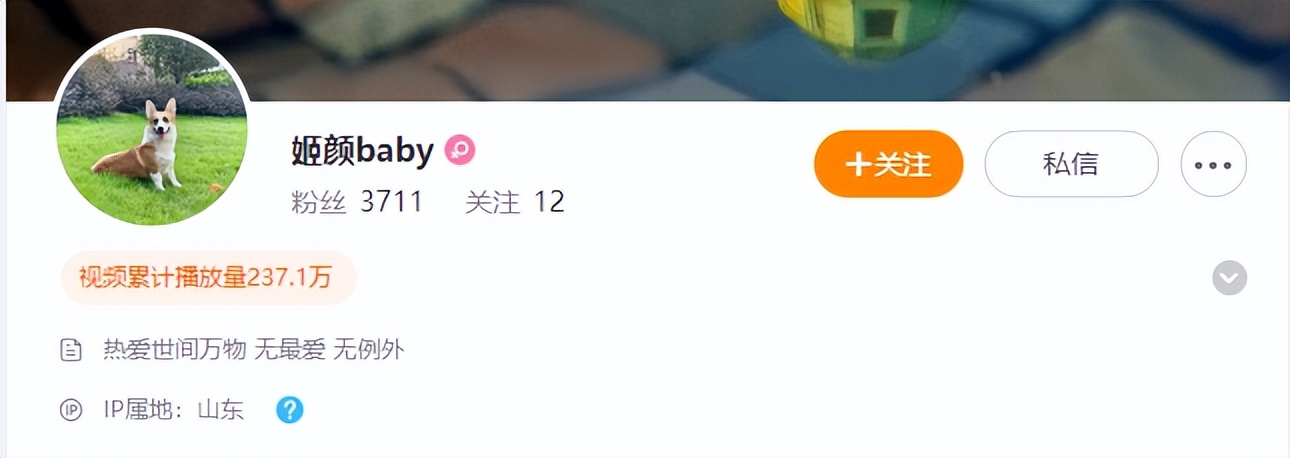 柯基被家暴男杀死,家暴柯基原视频