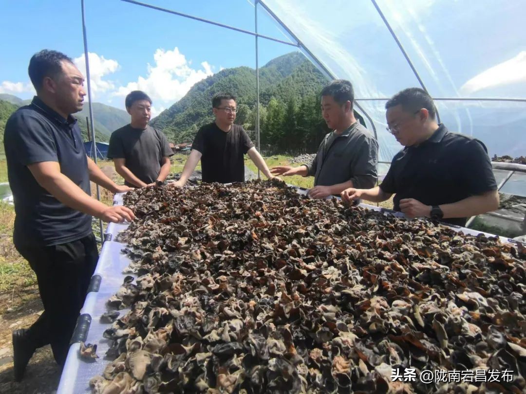 我们这十年四川农业农村篇,我们这十年发展视频