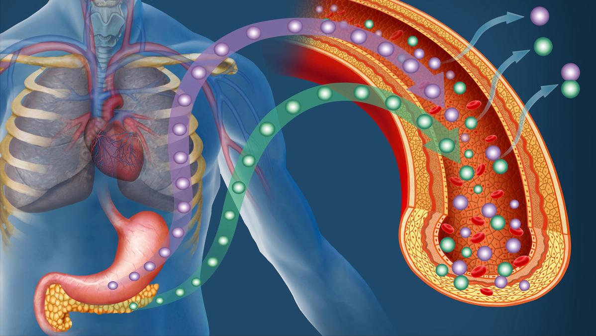 伏格列波和阿卡波糖哪个副作用大,西格列汀和阿卡波糖哪个副作用大