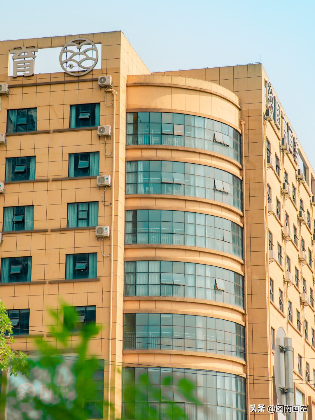 糟糕！我被图南画室的春天校园种草了！