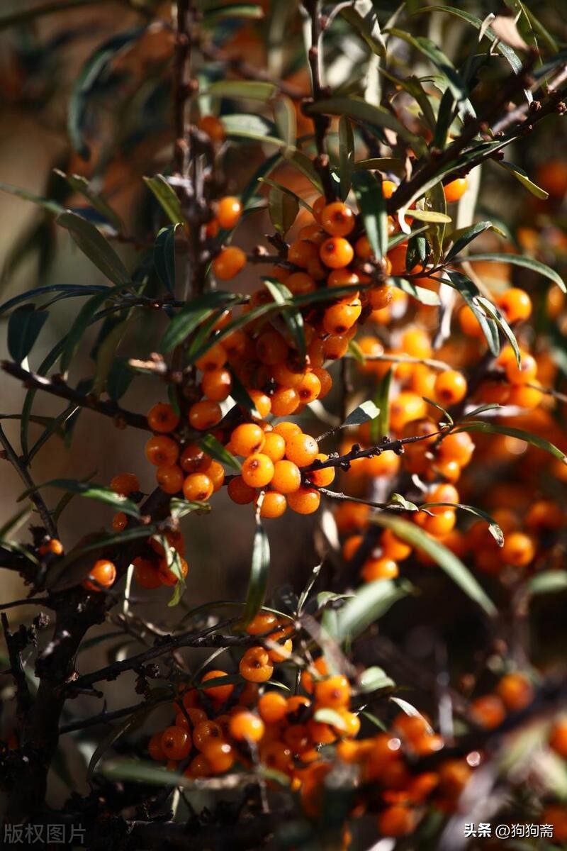 从底层开始小说,底层生活小说全集