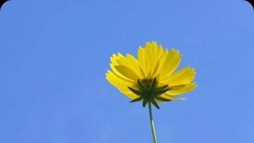 活着不要太当真人生感悟,人活着别明白太晚别活得太委屈