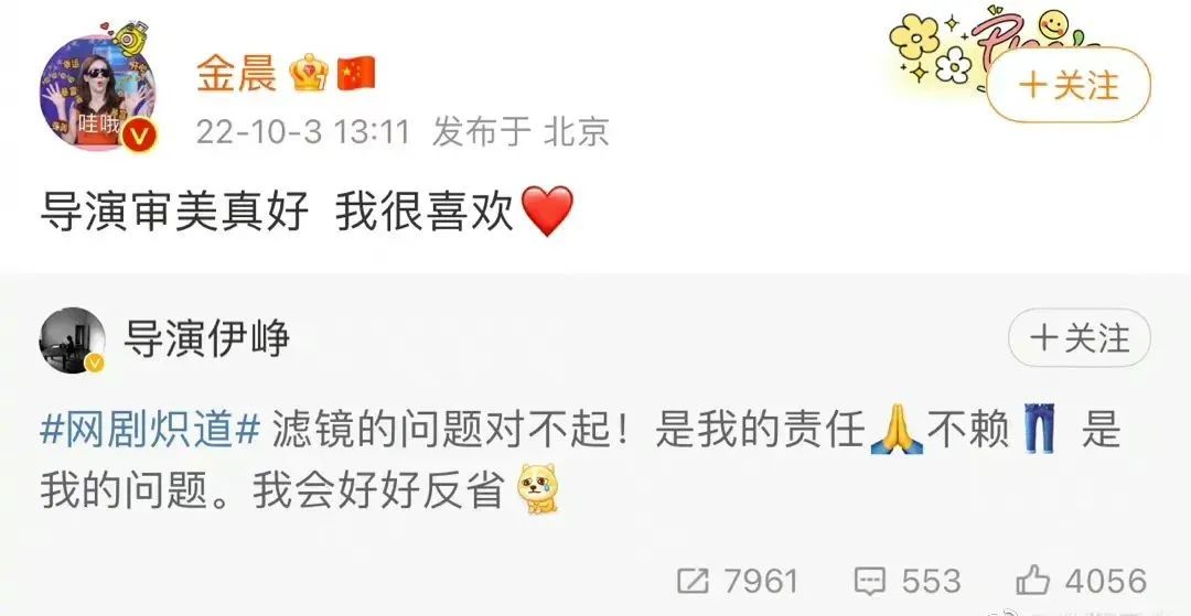 金晨炽道是本色出演吗,金晨王安宇炽道什么剧