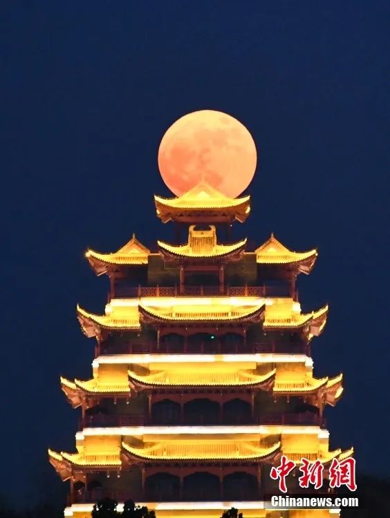 2020热搜视频排行榜,最近热搜视频记录