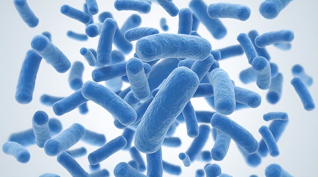 人体抵御细菌感染的第一道防线,人体卫士大战细菌