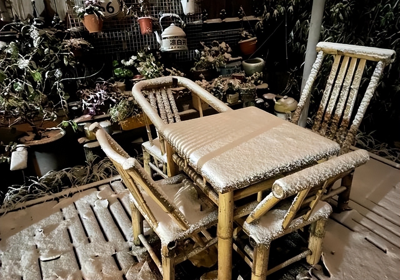 黄雅莉院子视频,黄雅莉在北京的房子