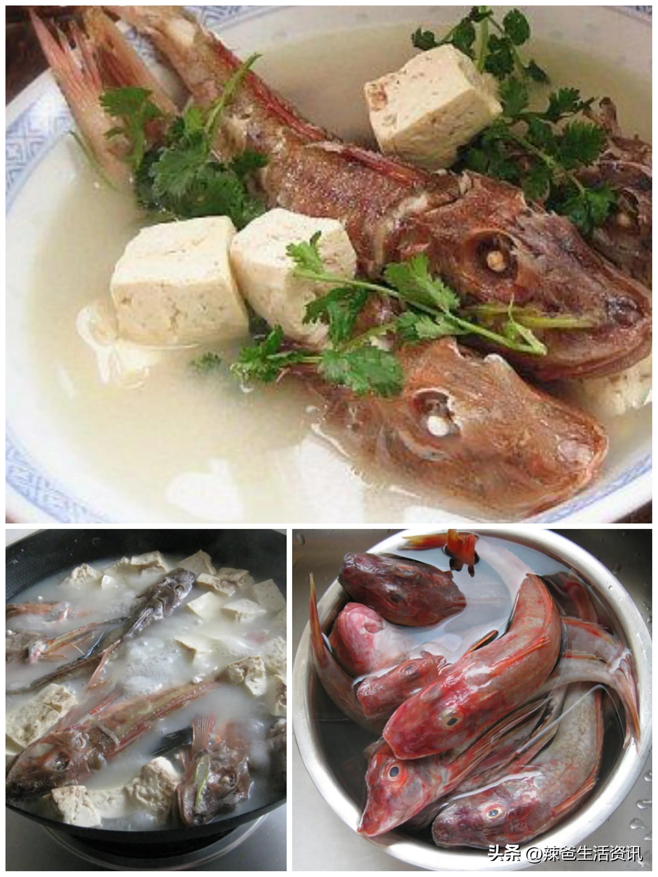 不会做海鱼？只要掌握这几点，便能轻松“驾驭”所有海鱼。请收藏