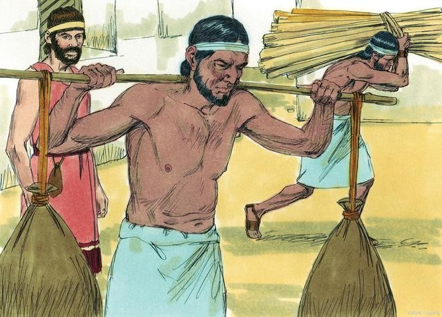 17世纪荷兰殖民情况,17世纪荷兰和英国