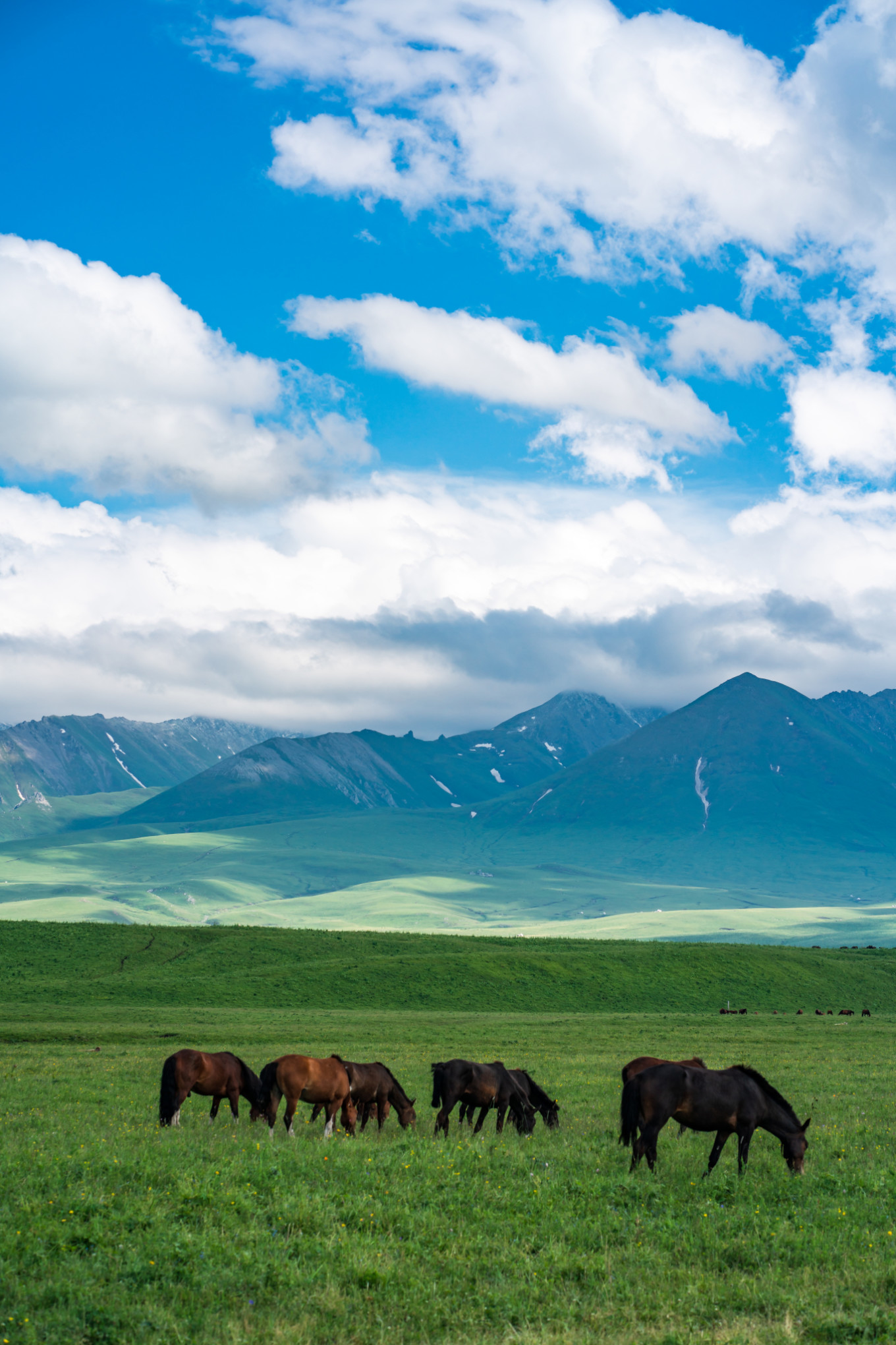 新疆伊犁之美,走了一圈才发现世界万物远不及你