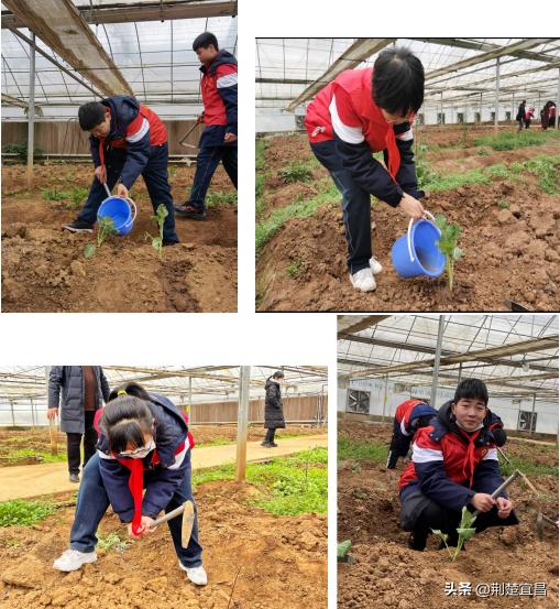 宜昌五中学校,五中教育实践活动