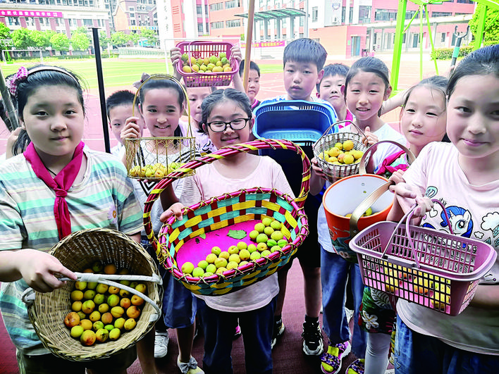 合肥市颐和佳苑小学：和美校园五育忙和正少年正向上