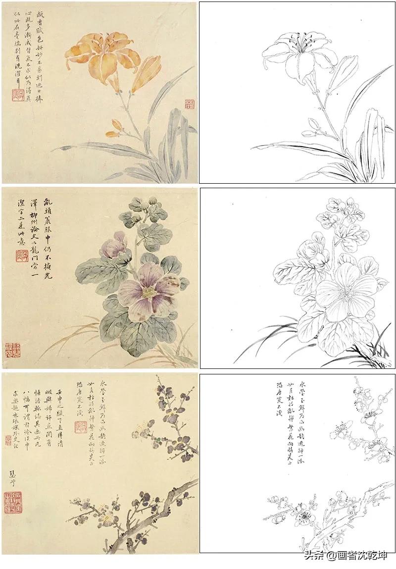 花鸟工笔白描100张简单,重彩工笔花鸟白描