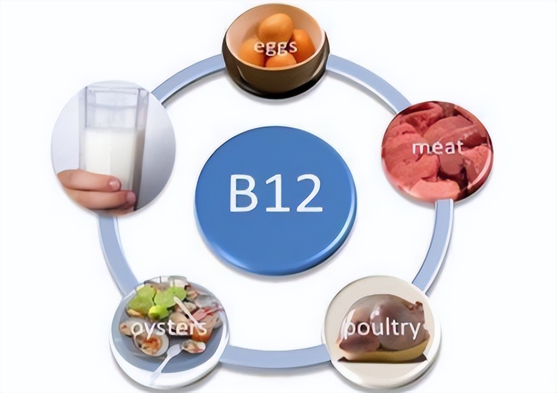 几块钱维生素B12片的功效与作用,几块钱的维生素b12可以治疗哪些病