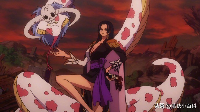 海贼王大妈年轻时的神仙颜值,海贼王大妈女儿颜值排行榜