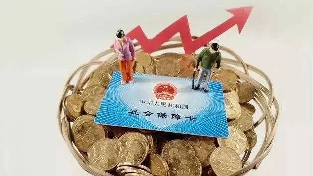 个人缴纳社保去哪里交