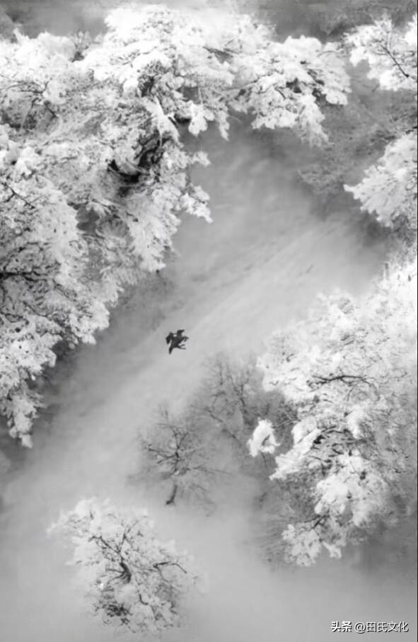 鐢版皬鏂囧寲缃戠粶骞冲彴,鐢版皬鏂囧寲浼犳壙骞冲彴