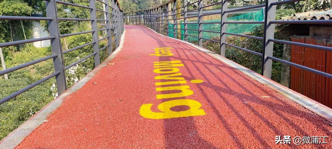 朝阳湖云端绿道,朝阳湖绿道