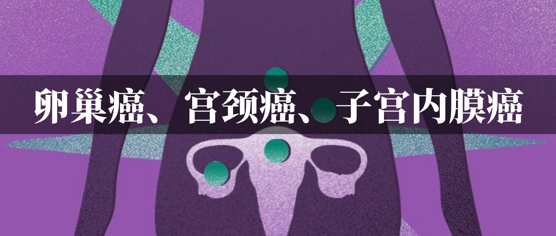 肠道菌群与癌症的关系,改善肠道菌群对治疗癌症有好处吗