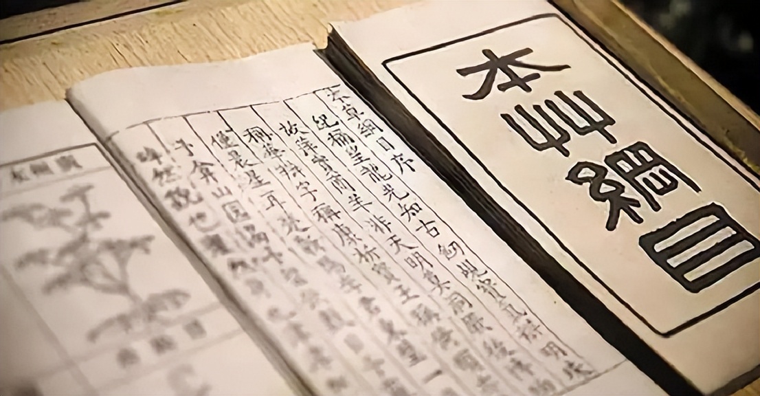 太香？太臭？猫咪排泄物的入药黑历史！