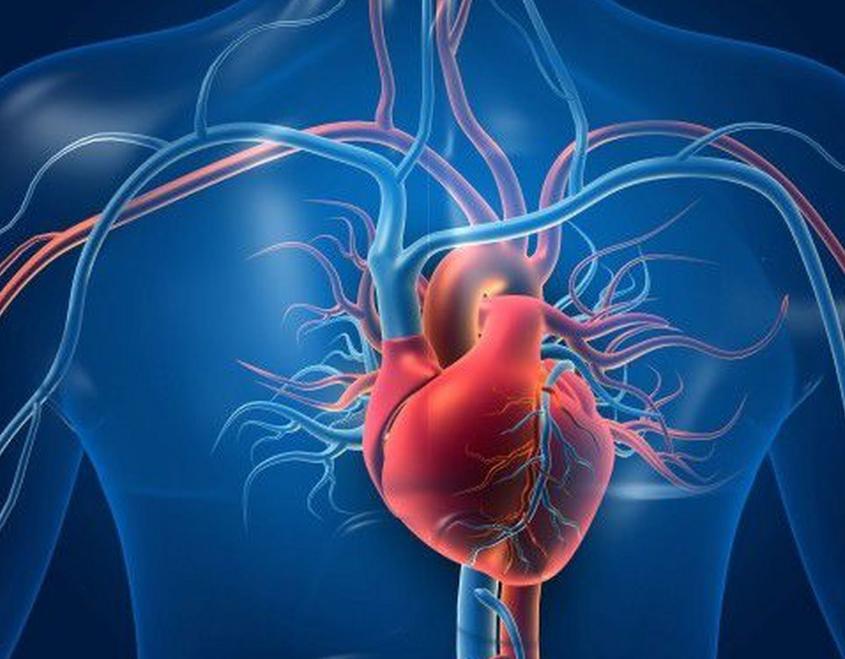 心血管病并发焦虑抑郁的药物治疗,治疗抑郁和焦虑可防心血管病