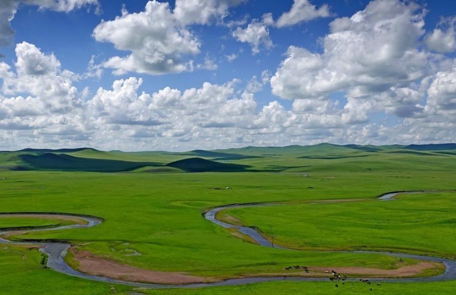 北京4人到内蒙旅游，吃手把肉品马奶酒，结账时感叹：物价真实惠