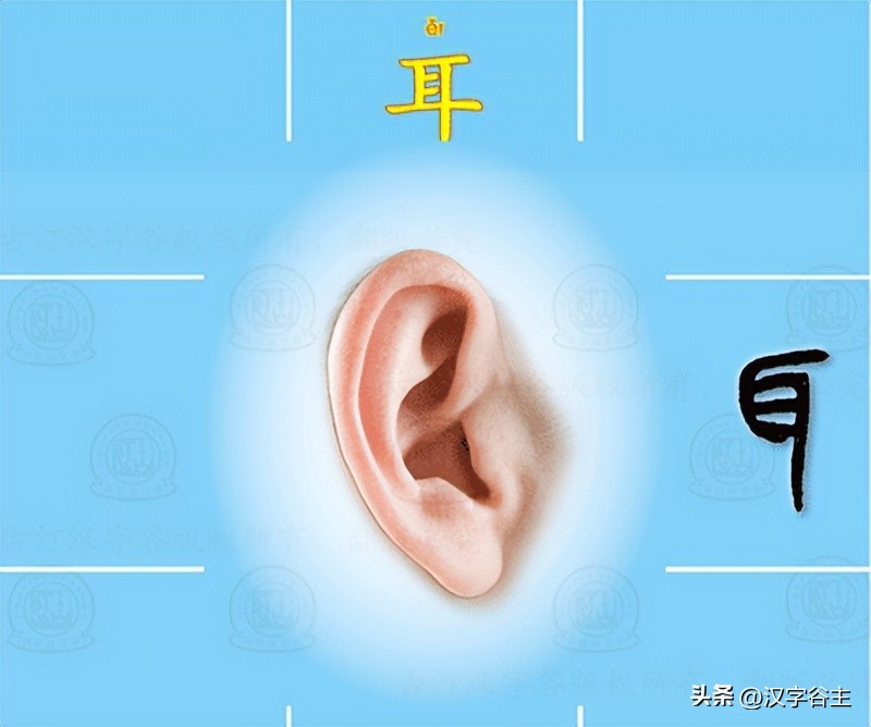 为孩子收藏280个成语,含有身体部位的成语100个