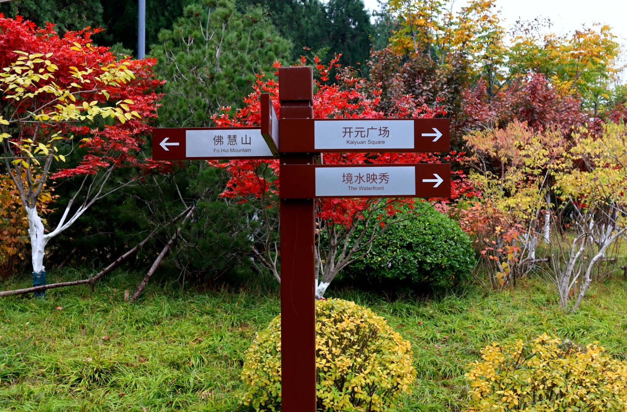 济南必打卡之地金秋时节,济南冬季打卡旅游胜地