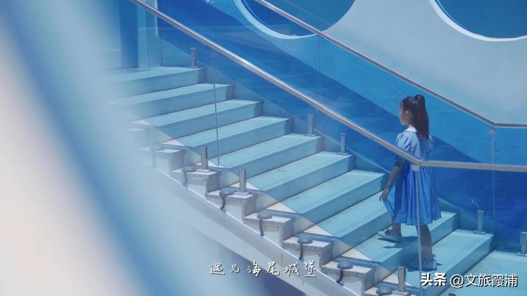 东海1号海钓,东海1号