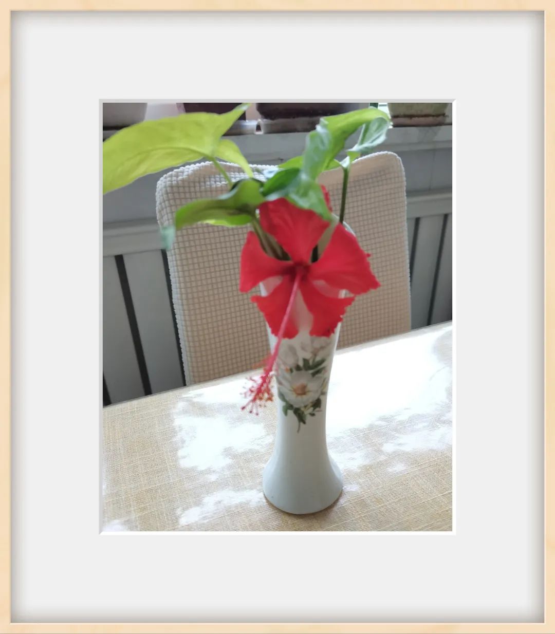 我和父亲的新冠十日