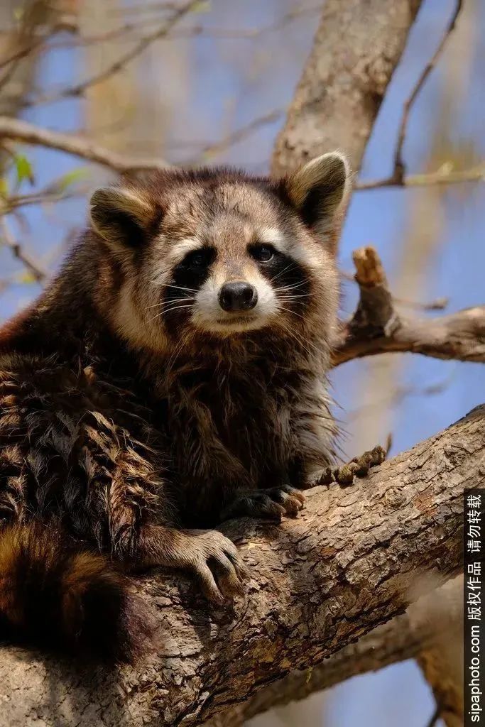 亲子互动的好去处北京,京城最好的亲子游