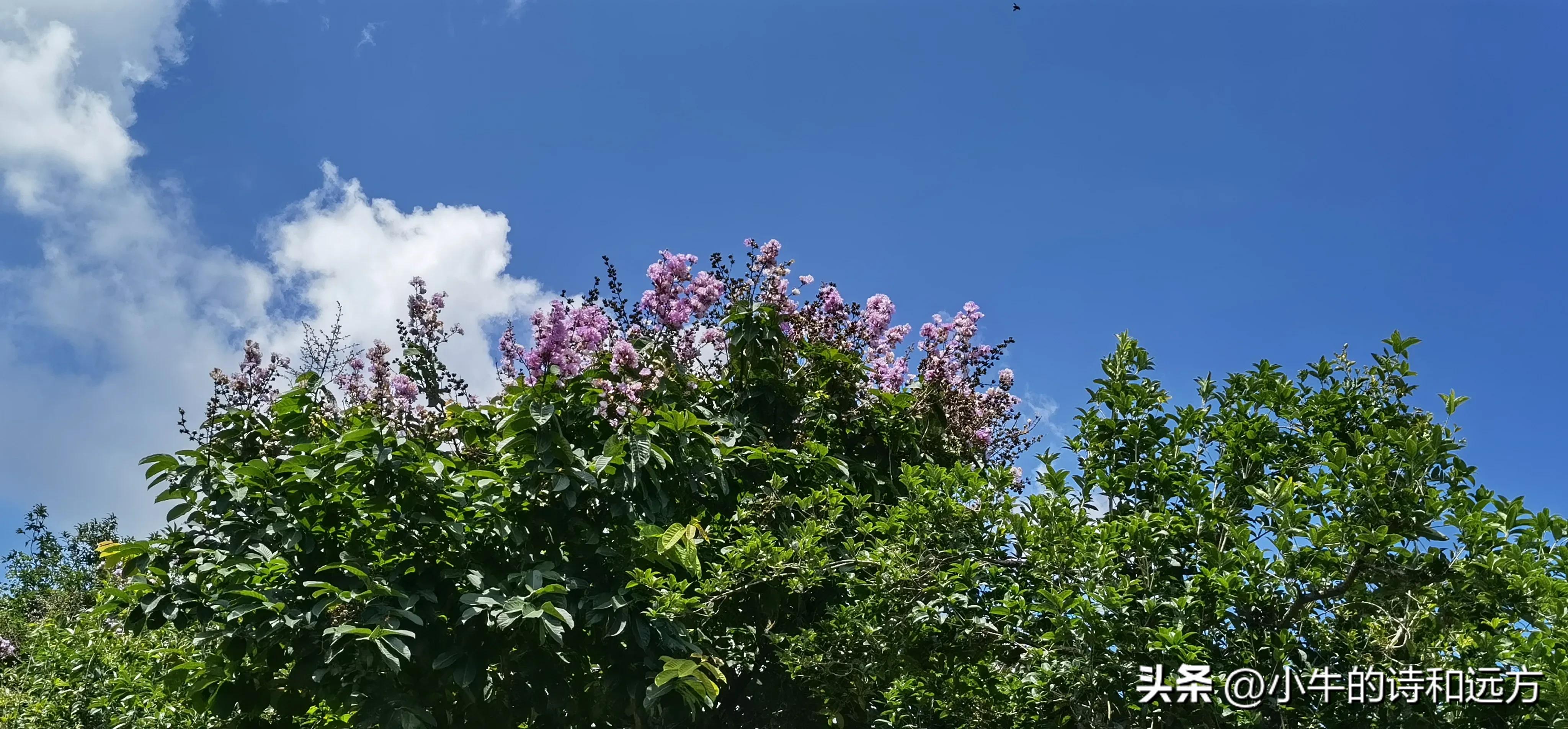 溜娃好去处就在紫谷萌宠乐园,青龙湖湿地公园遛娃攻略