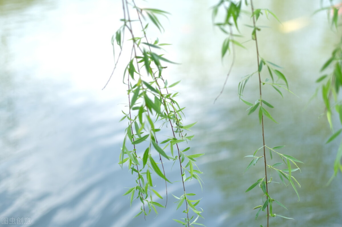 十里莺啼桥上客，邻家钗唤晚来舟——田新智七律诗选