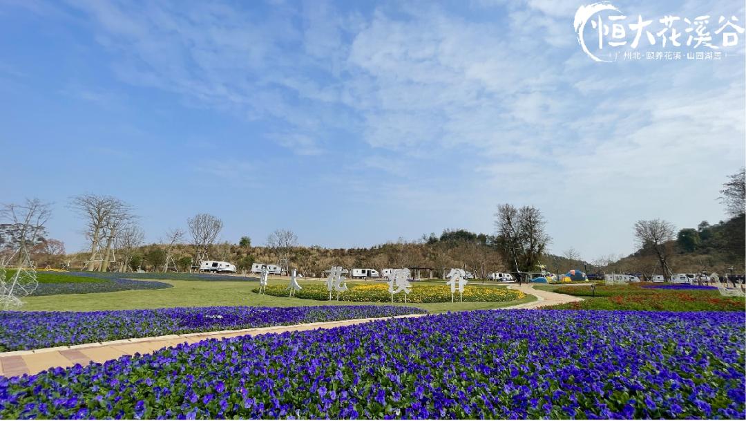 恒大花溪谷和高新名邸,恒大花溪谷环境优美