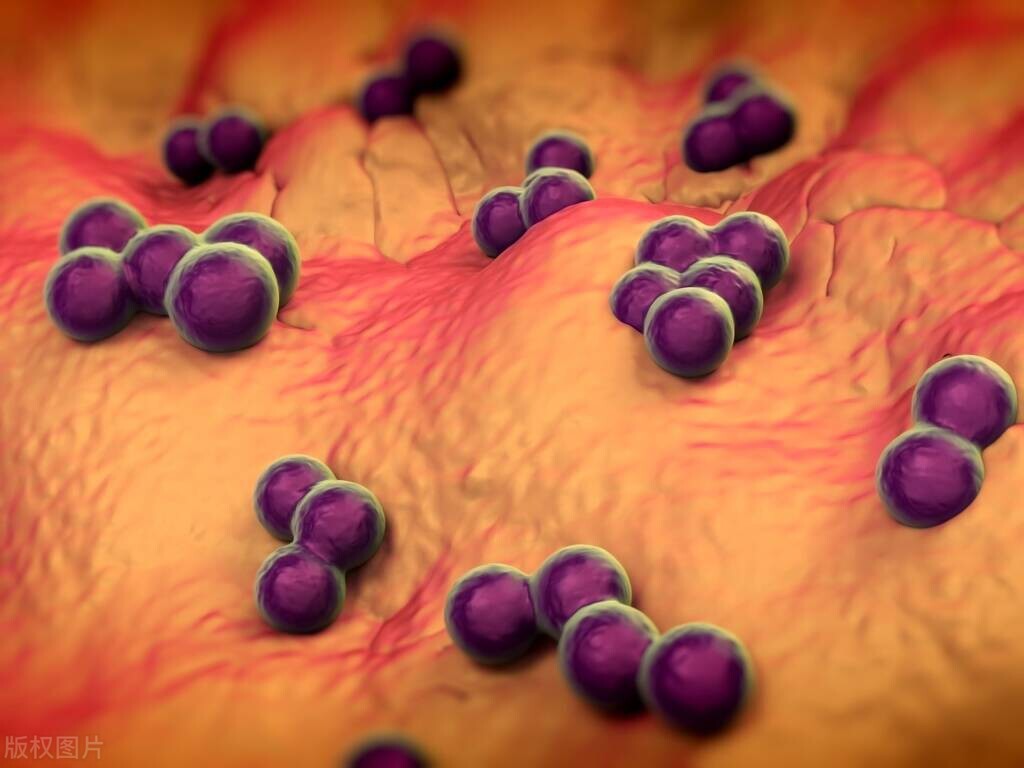 女性长痘痘跟没有男朋友有关系吗,女性下巴长痘痘什么原因