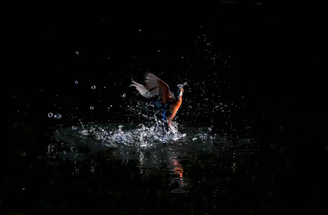 预算2万能买什么相机,预算2万内买一个拍视频的相机