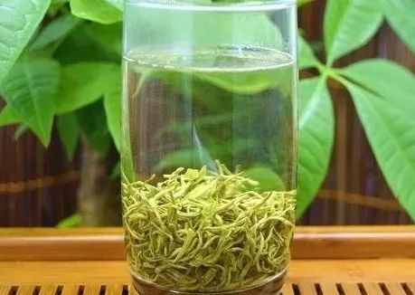 史上最经典的绿茶,二十年前十大绿茶排行榜前十名