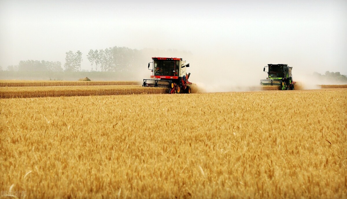 田伟岭：我的供销合作社情结,散文