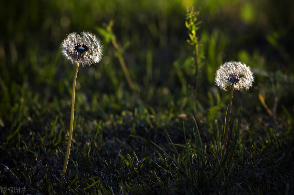 什么叫异性之间相互珍惜,异性之间的真爱