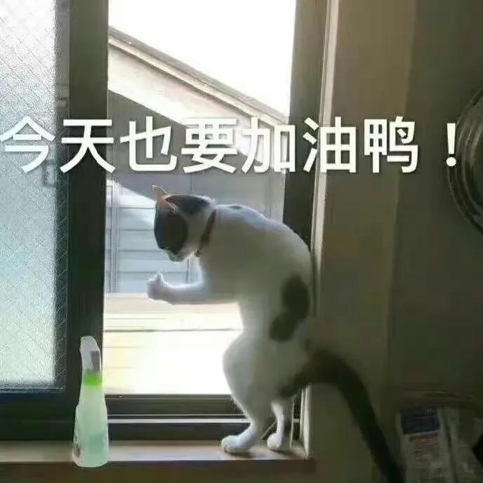 要开始打工了的表情包,今天我是个打工人表情包