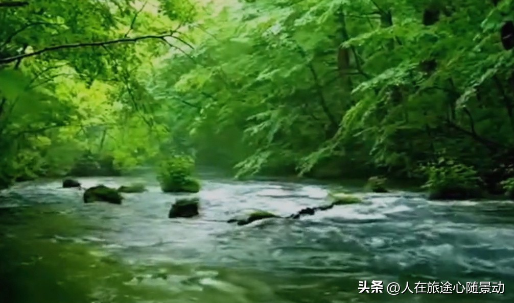 安吉竹博园有哪些景区可以玩,安吉国家级景区有哪些景点