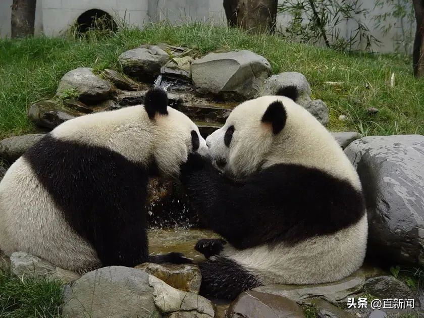 国台办：台湾省籍二十大*党**代表为推进国家统一事业贡献力量