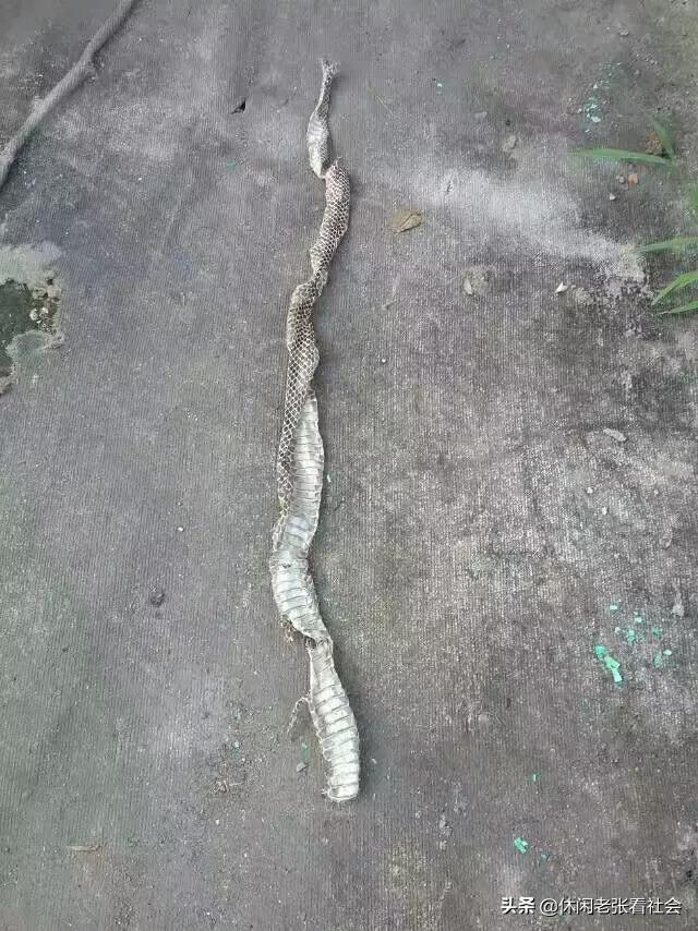 山村生活直播,山村生活的歌曲