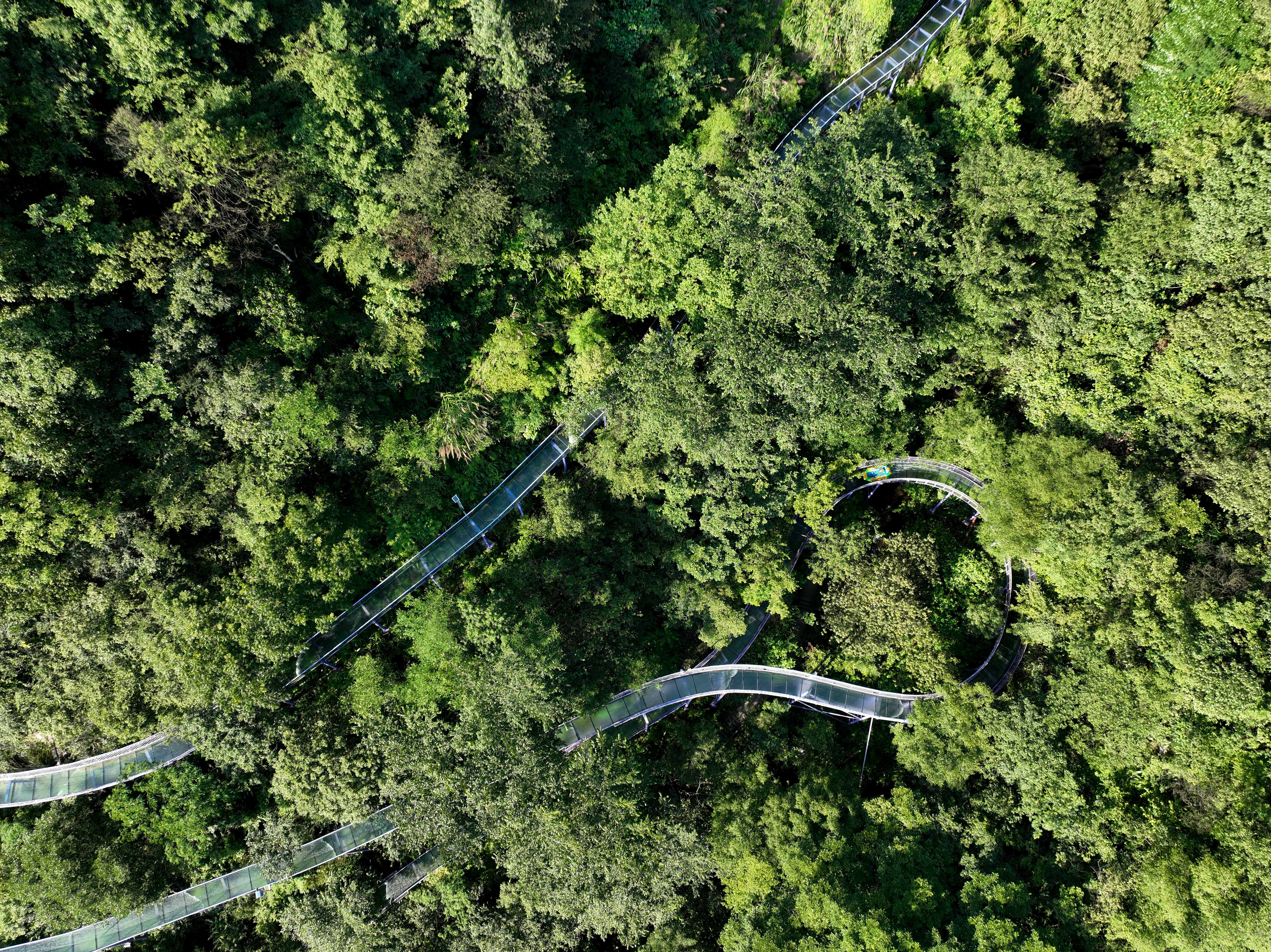 全球最长的通体玻璃漂流，距离杭州2小时就有，赶紧来玩玩
