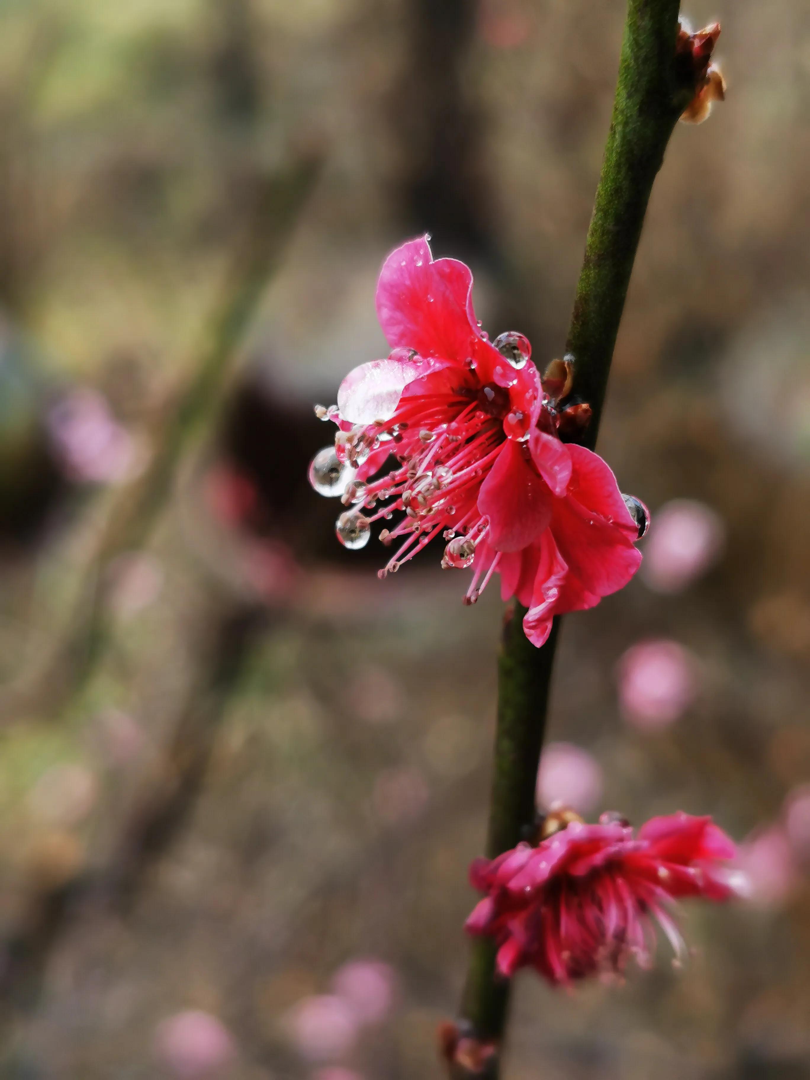 手拍世界手机摄影平台,手机摄影平台手拍世界