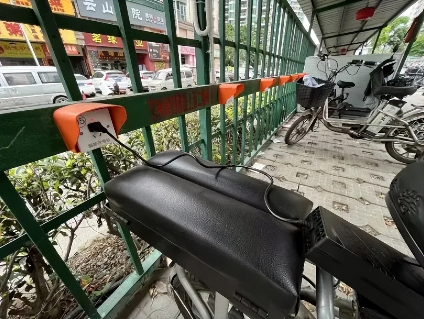 百日整治、举报有奖，能解决广州“*鸡电**围城”乱象吗？