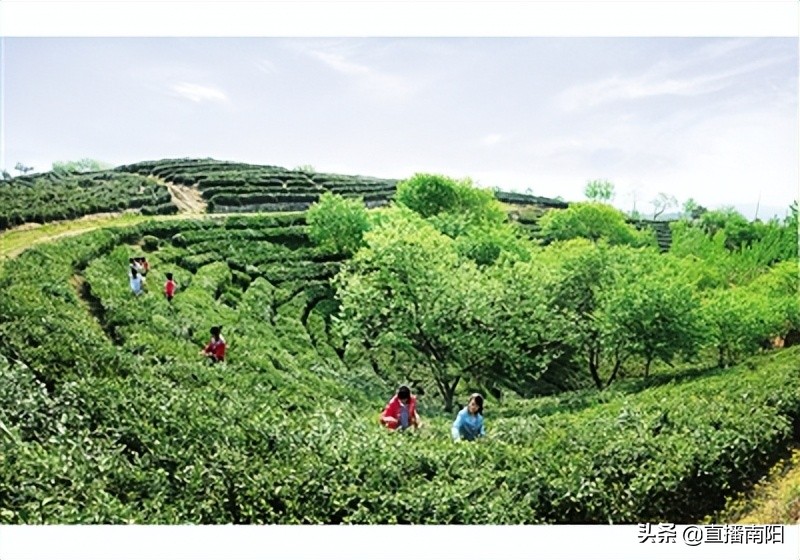 四大战略定位,四大定位助推高质量发展