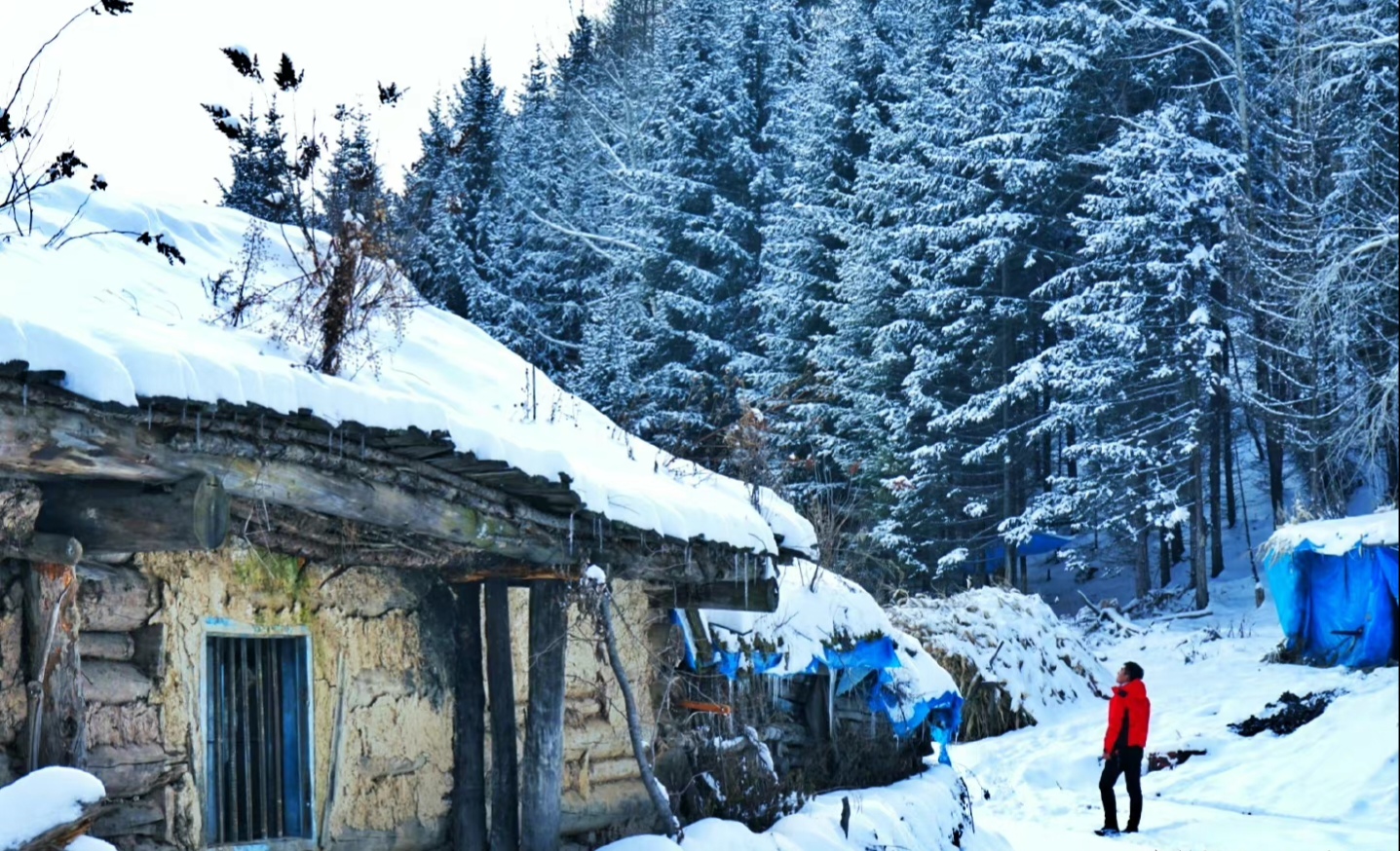 2020骞寸殑鍐板ぉ闆湴,2022鏄ヨ妭闆櫙鏃呮父鎺ㄨ崘